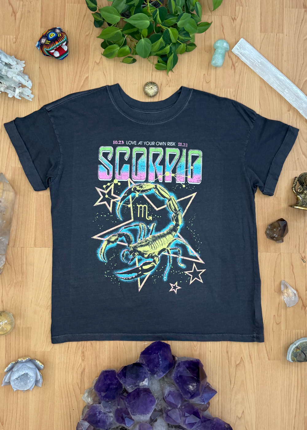 Scorpio Reunion Tour Vintage Black Boyfriend Tee