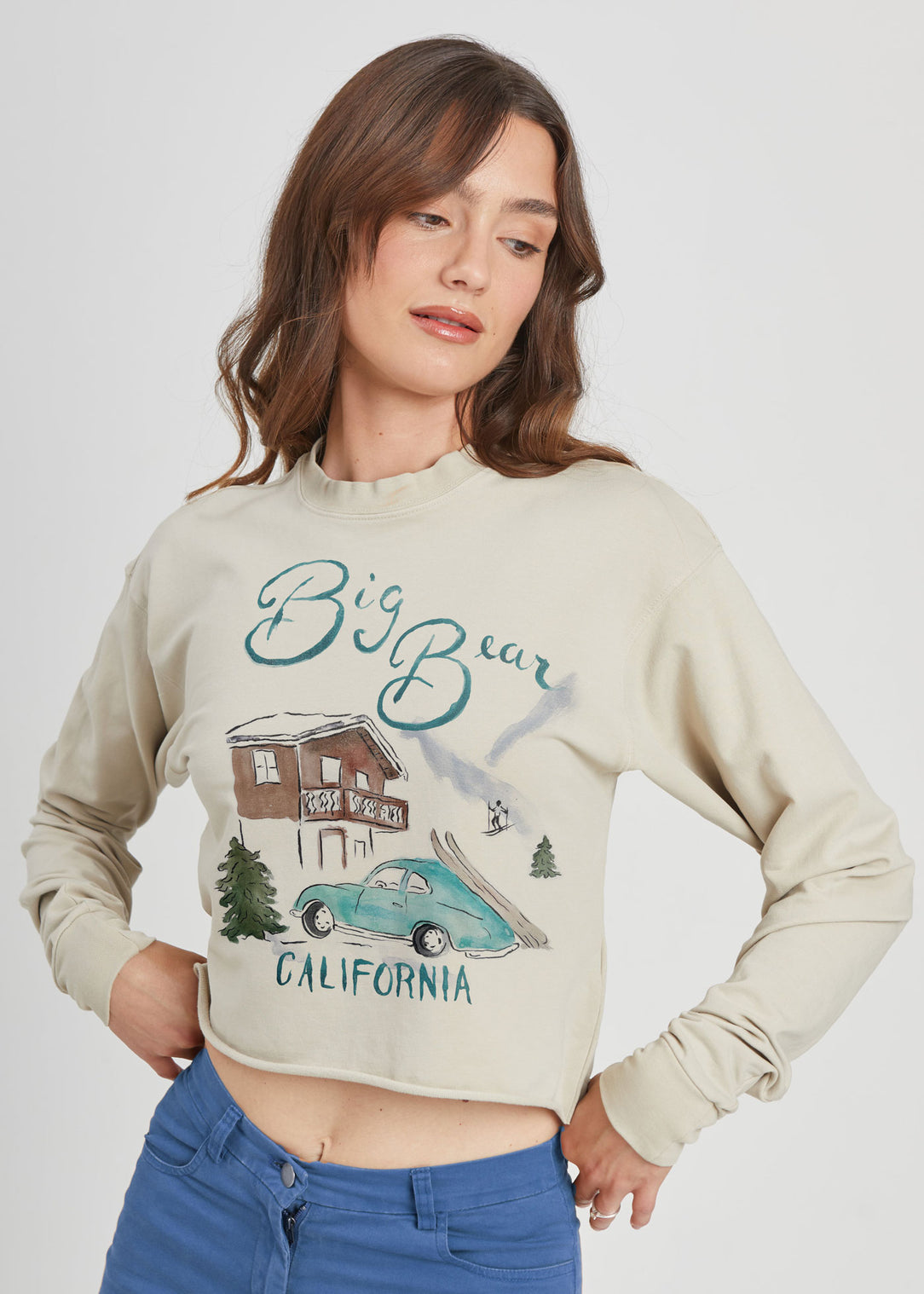 Big Bear Taupe Cropped Sweatshirt