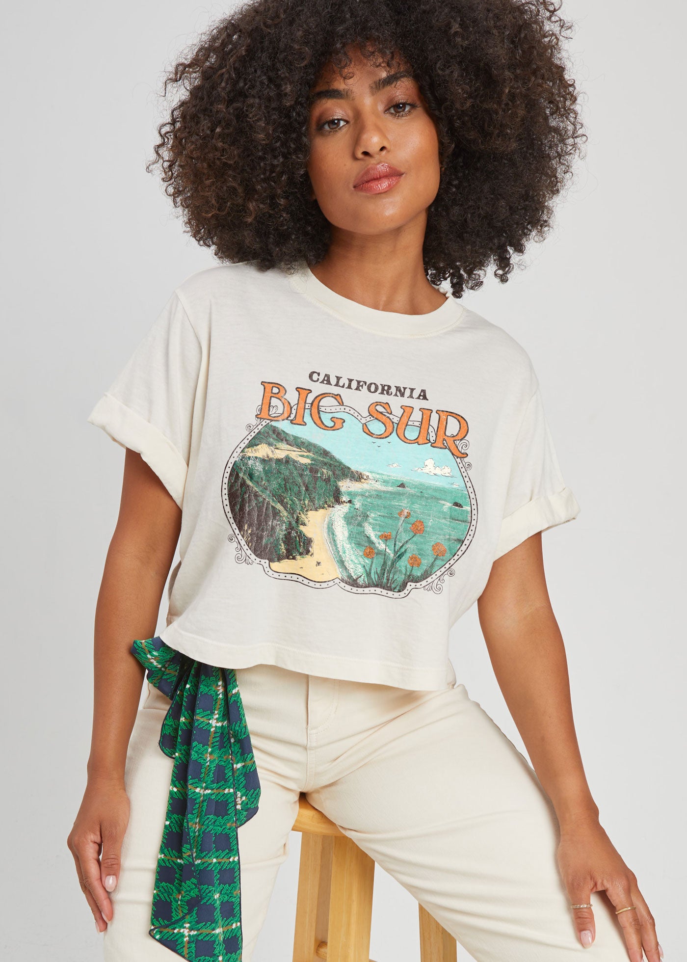 Big Sur Frame Off White Cropped Boyfriend Tee