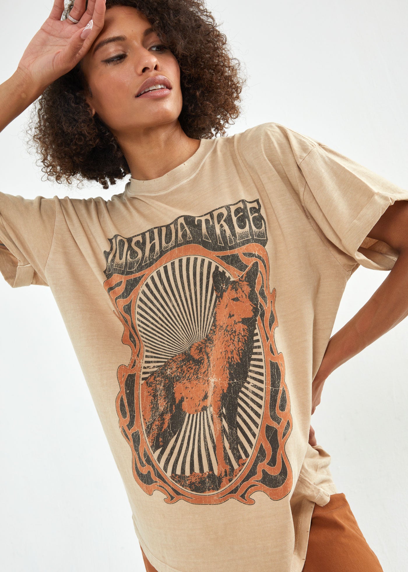 Joshua Tree Coyote Sand Boyfriend Tee